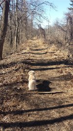 PRR Newtown Square Branch